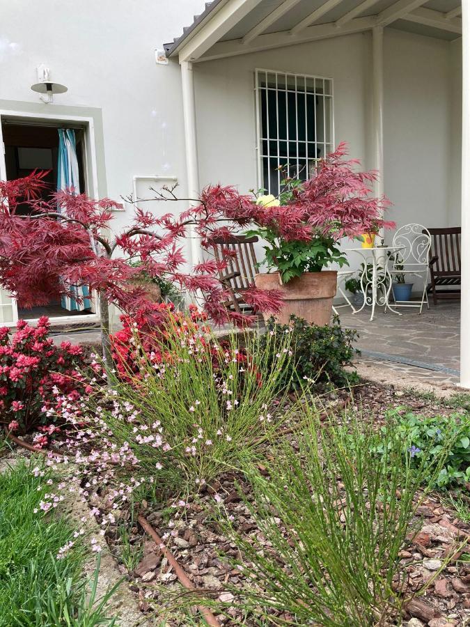 La Casona B&B San Michele allʼAdige Екстериор снимка